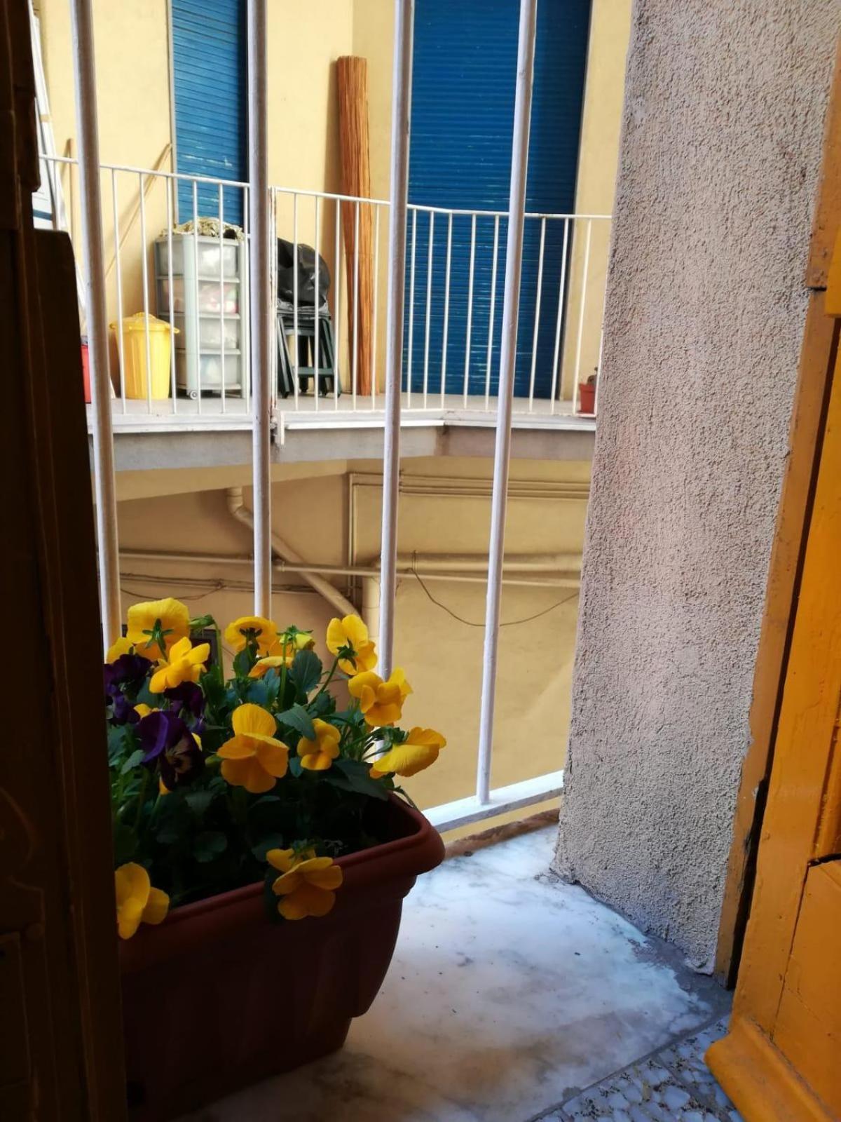The Yellow House Κατάνια Εξωτερικό φωτογραφία